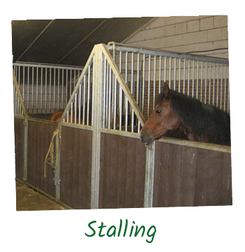 minicamping ter Stal